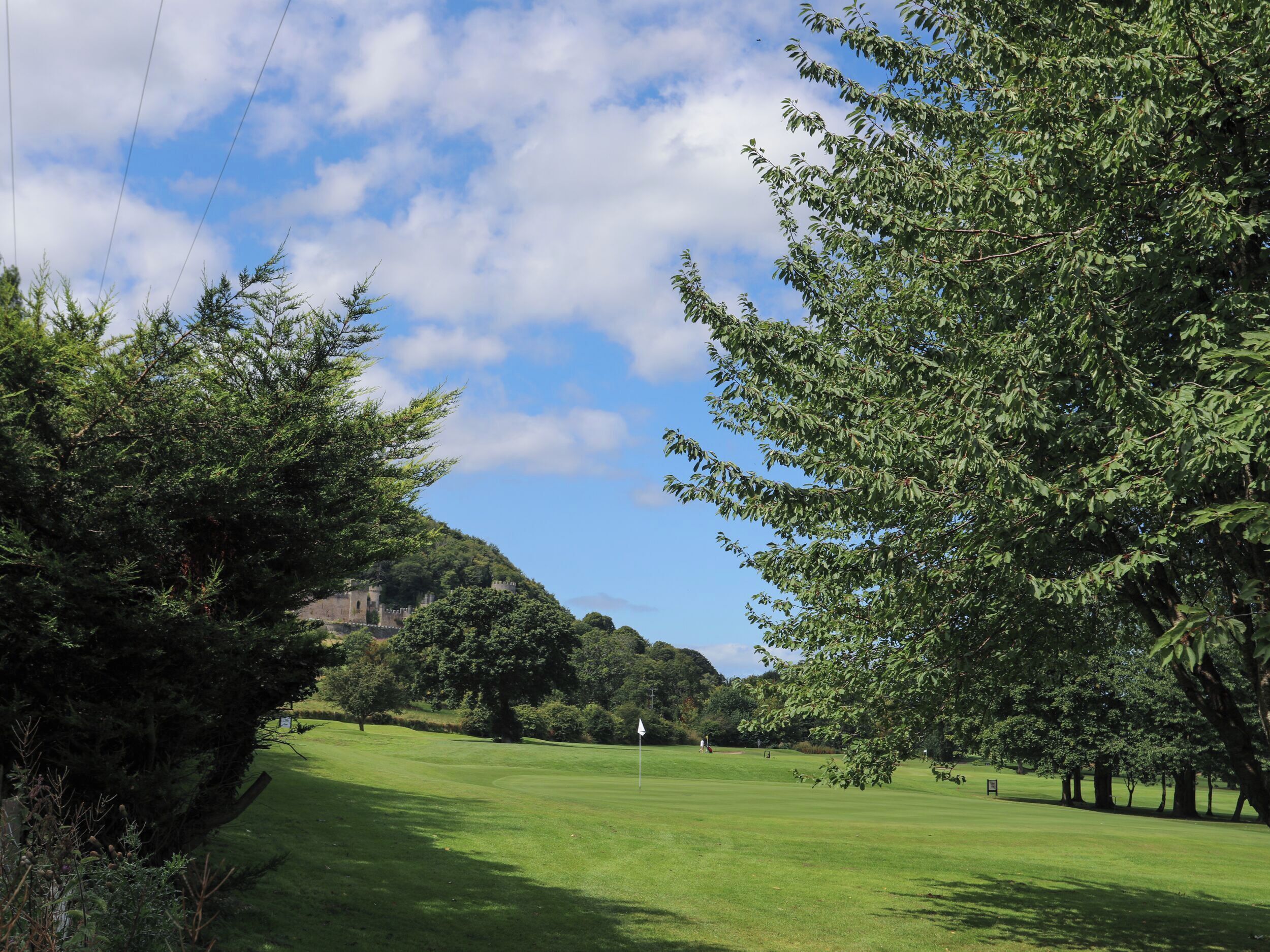 Un campo de golf con cielo despejado, césped verde exuberante y árboles.