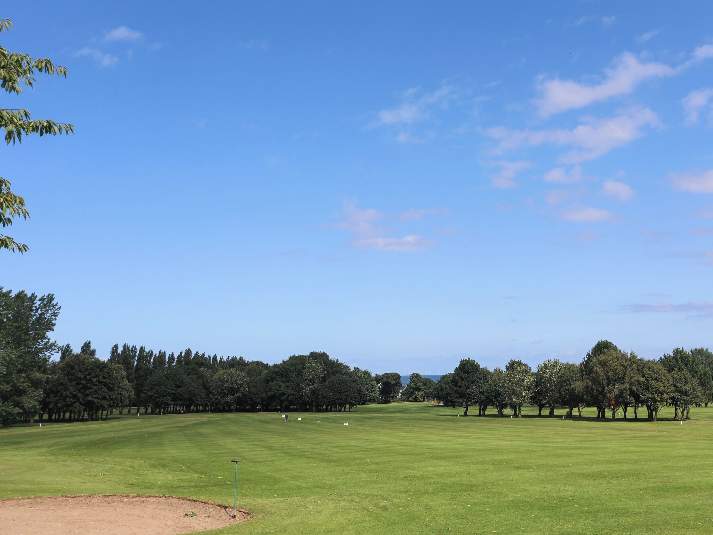 A golf course with a clear sky, trees, and a well-maintained lawn.