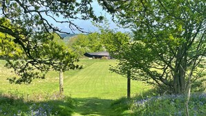 A rural pathway leading to a house surrounded by lush greenery and flowering plants. - Deer Lodge (Wimborne)