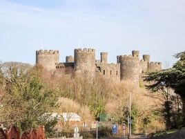 Un castillo histórico con múltiples torres y una muralla fortificada, rodeado de árboles y un camino pavimentado con una señal de estacionamiento.