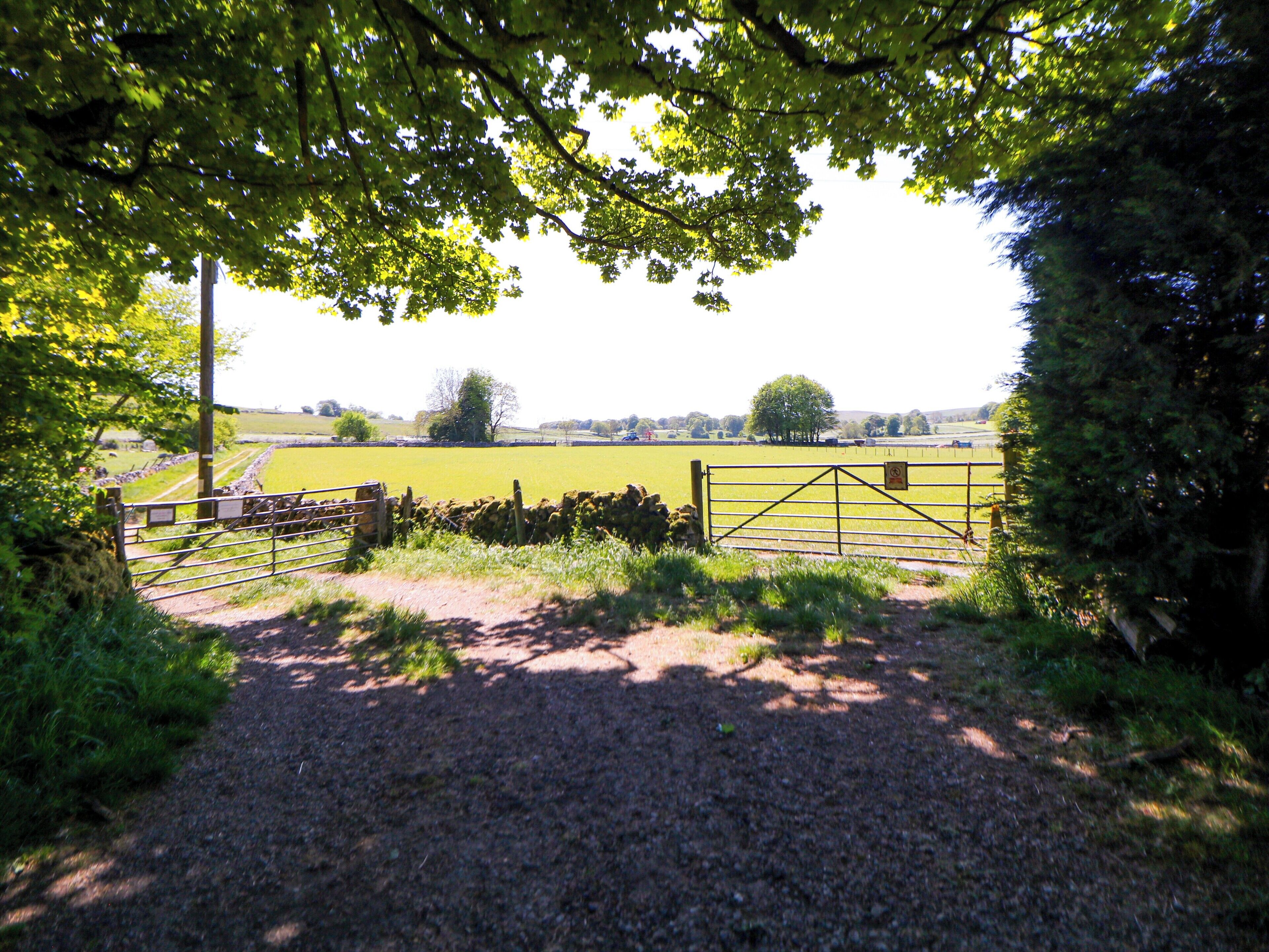 A rural landscape with a gravel path leading to a metal gate, surrounded by greenery and fields.
