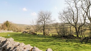 Un paysage rural avec un mur de pierre au premier plan, un champ d’herbe et des arbres sans feuilles à l’arrière-plan.