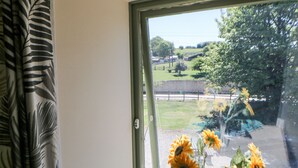 Una ventana con vistas a un área con césped y una cerca.