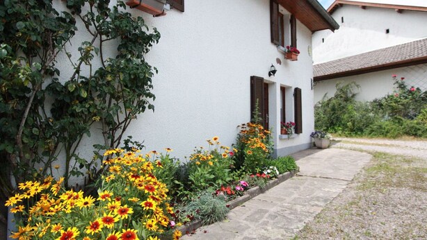 A white building with wooden shutters, a stone pathway, and a variety of flowers. - Family-Friendly Countryside Cottage with Modern Amenities, Near Thermal Baths and Nature Spots (Le Val-d'Ajol)