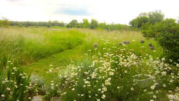 Cottage | Bahagian dalam