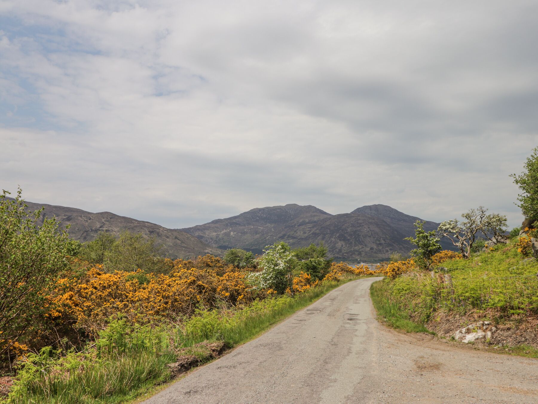 A rural road curving through a hilly landscape with mountains in the background.