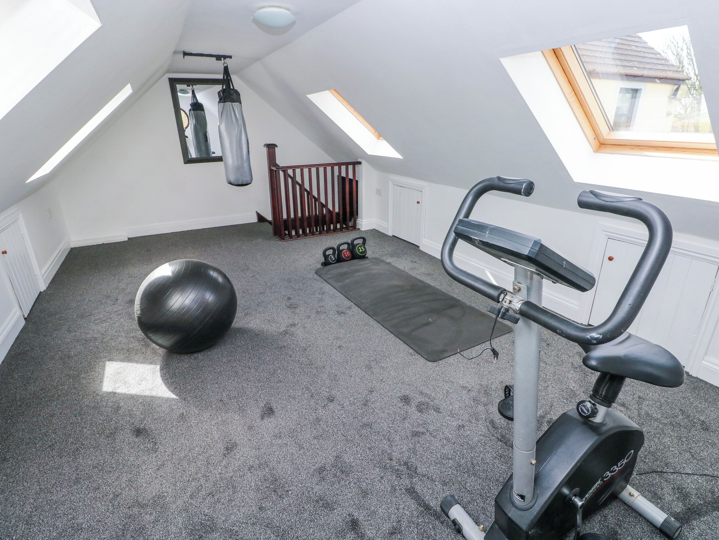 A home gym with a stationary bike, exercise ball, and dumbbells.