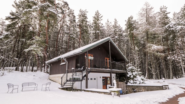 Una cabaña con porche y escaleras, rodeada de árboles cubiertos de nieve.