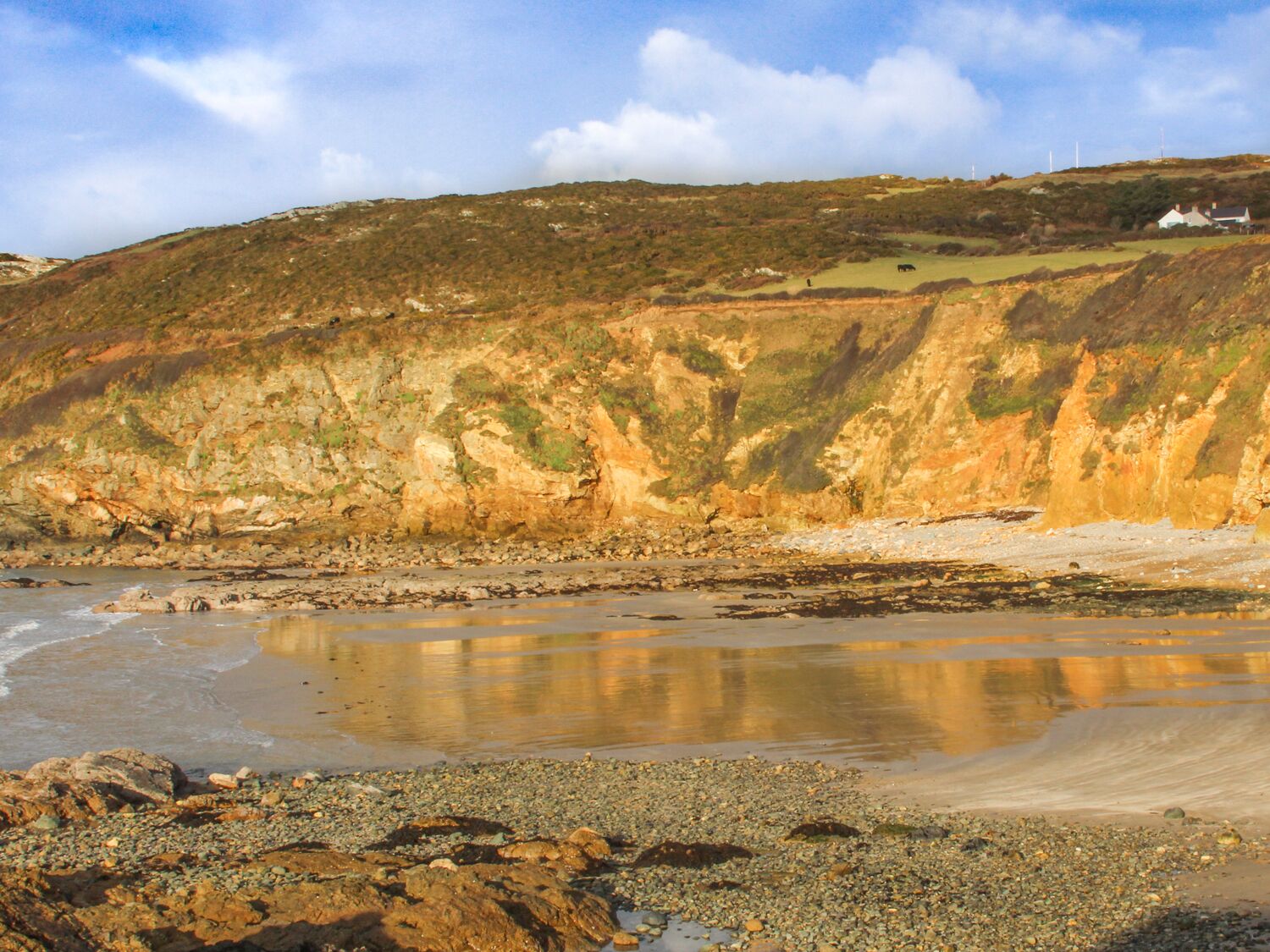 コテージ | 内装