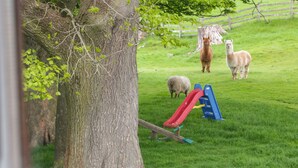 Un espace extérieur recouvert d’herbe, avec un arbre, un toboggan et une clôture.