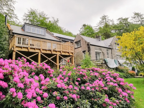 Cottage | Front of property