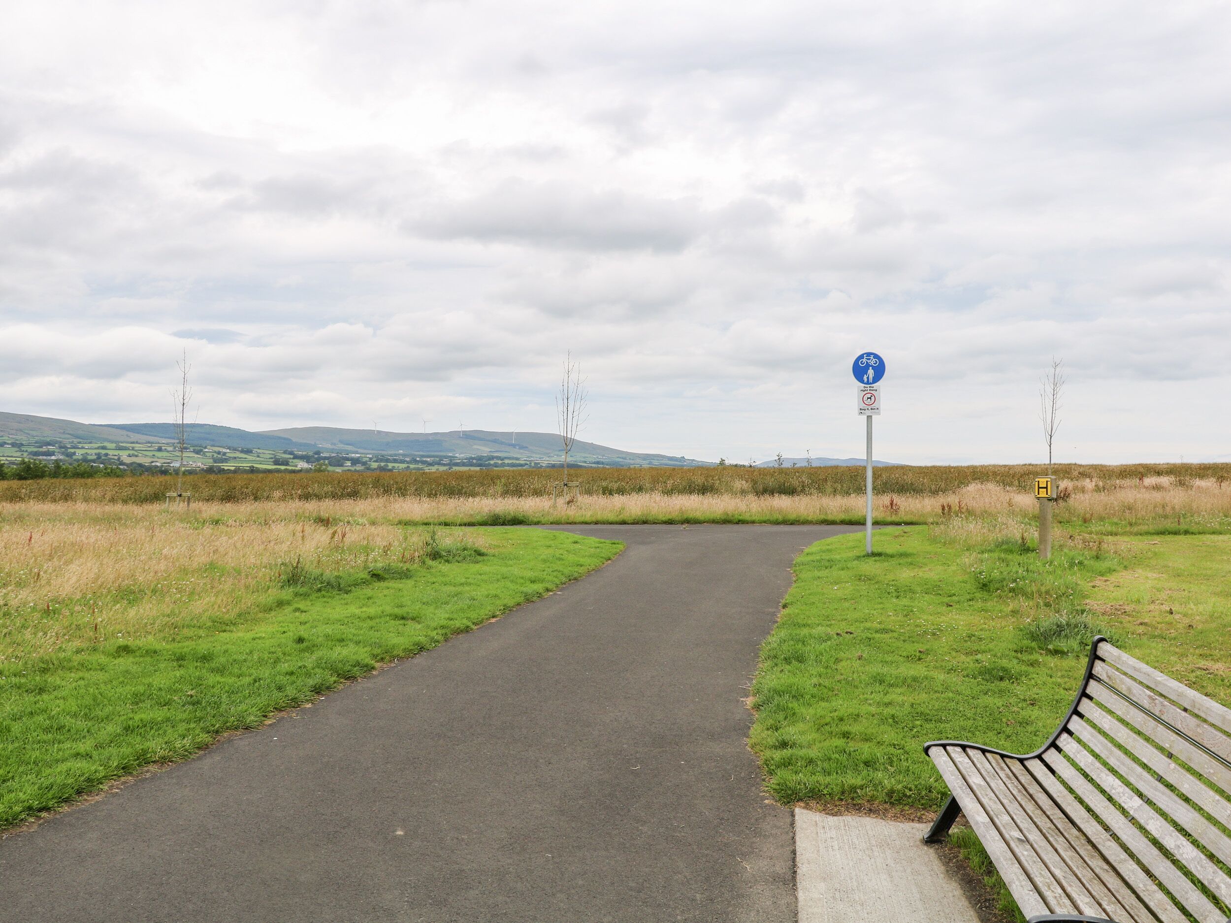 A paved path leading through a grassy field with a bench on the right.