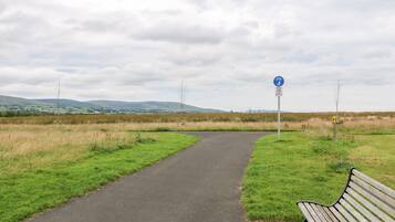 A paved path leading through a grassy field with a bench on the right.