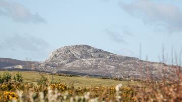 Cottage | Property grounds