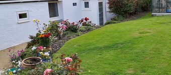 Cove Cottage