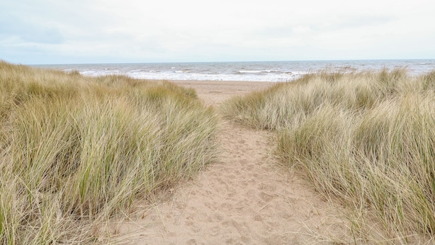 Un sendero arenoso que lleva a una playa, con hierba alta a ambos lados.