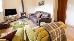 A living room with a fireplace, a television, a sofa, and a coffee table. - The Alders (Llanfyllin)
