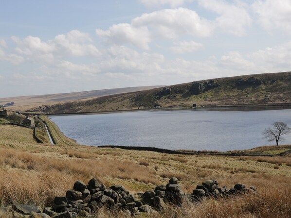 A rural landscape with a lake, stone wall, and distant buildings.