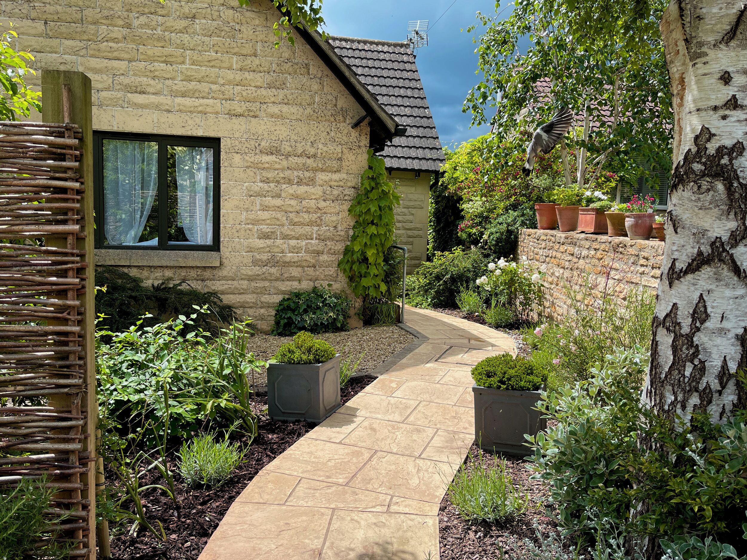 コテージ | 施設の敷地