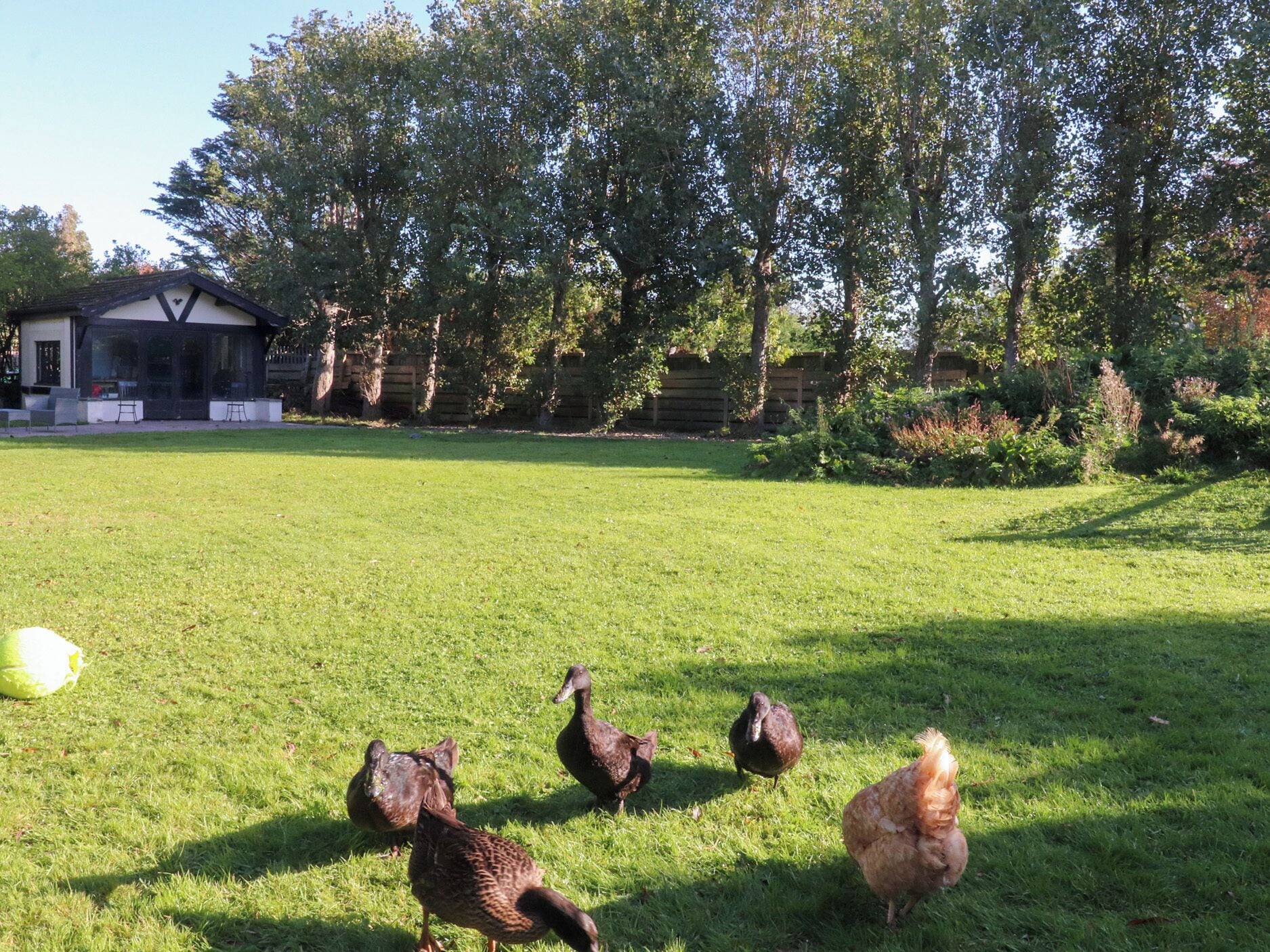 Feriehus | Overnatningsstedets område