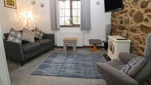 Uma sala de estar aconchegante com um sofá cinza, um tapete azul, uma mesa de madeira pequena, uma parede de pedra e uma TV fixada na parede.