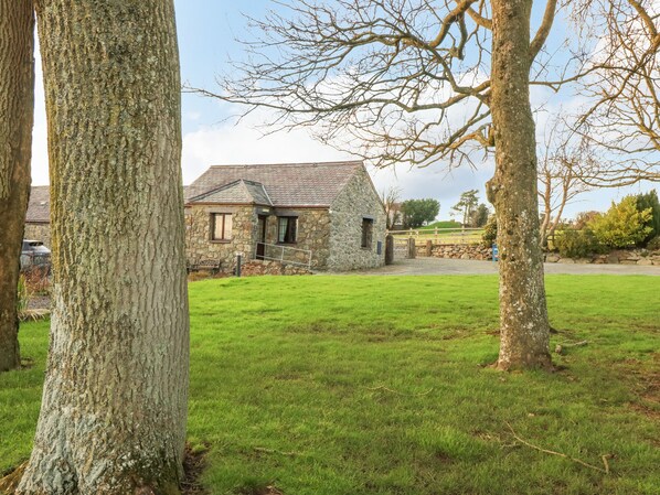 Cottage | Property grounds - Trem Y Wyddfa (Gaerwen)