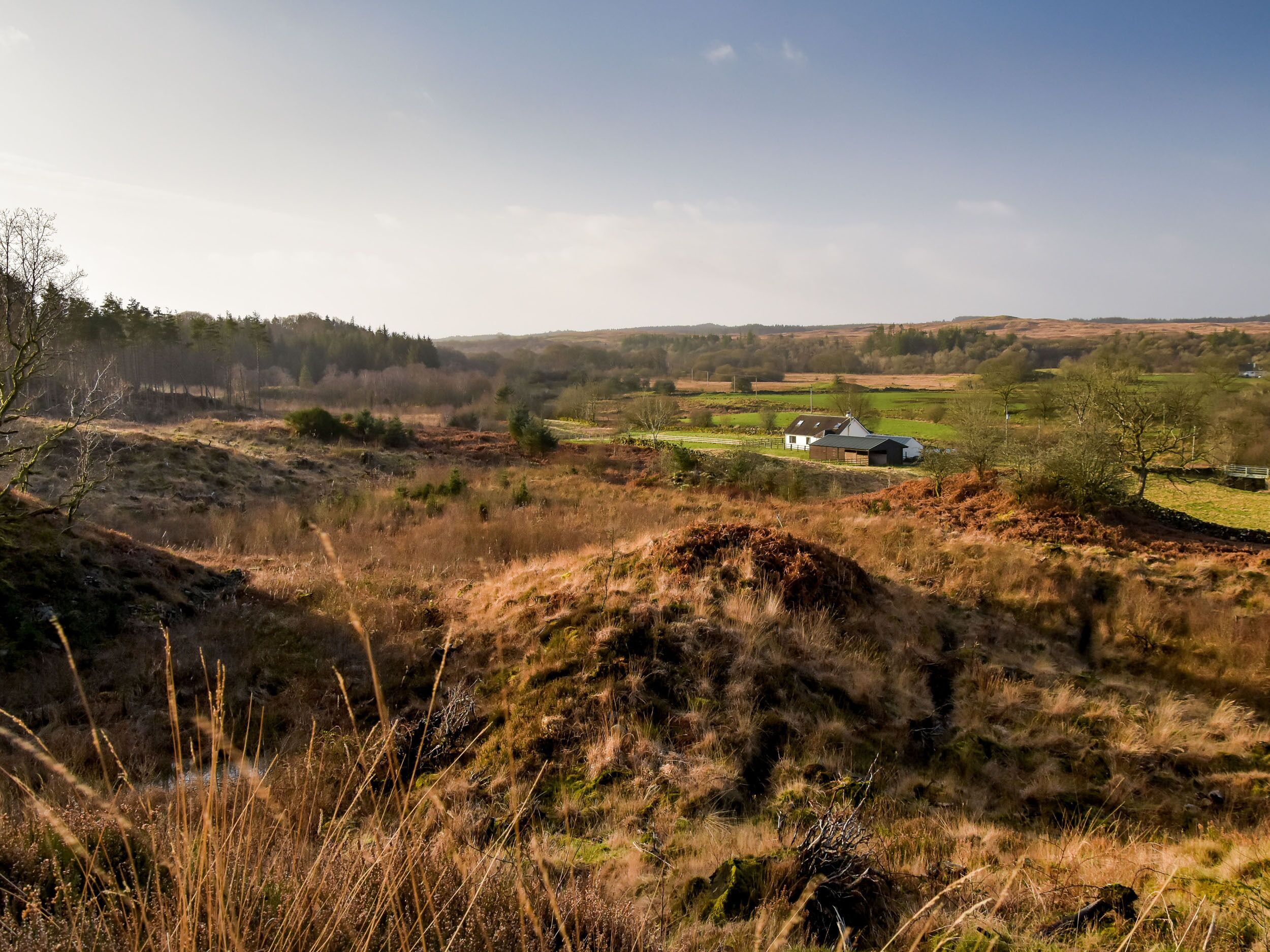 Een landelijk landschap met een huis, omringd door velden en bomen.