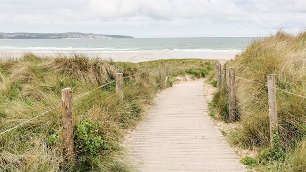 En træsti der fører ned til en strand med grønne skråninger og et hegn på den ene side.