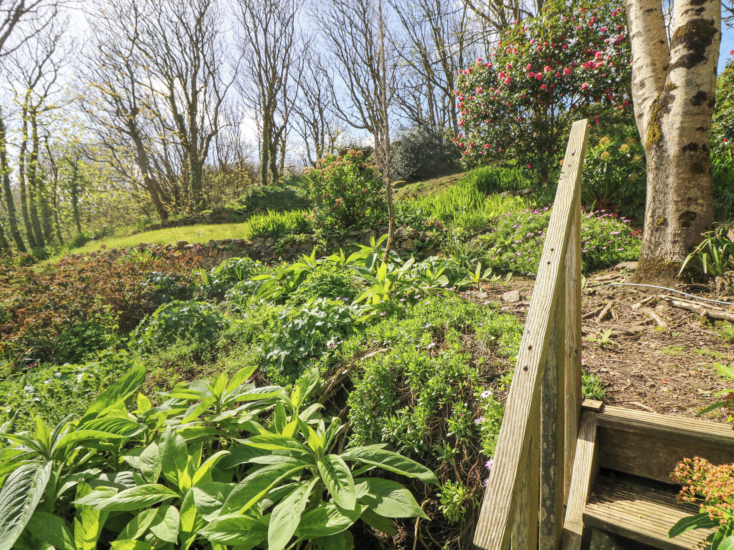Um jardim com diversas plantas e um banco de madeira.