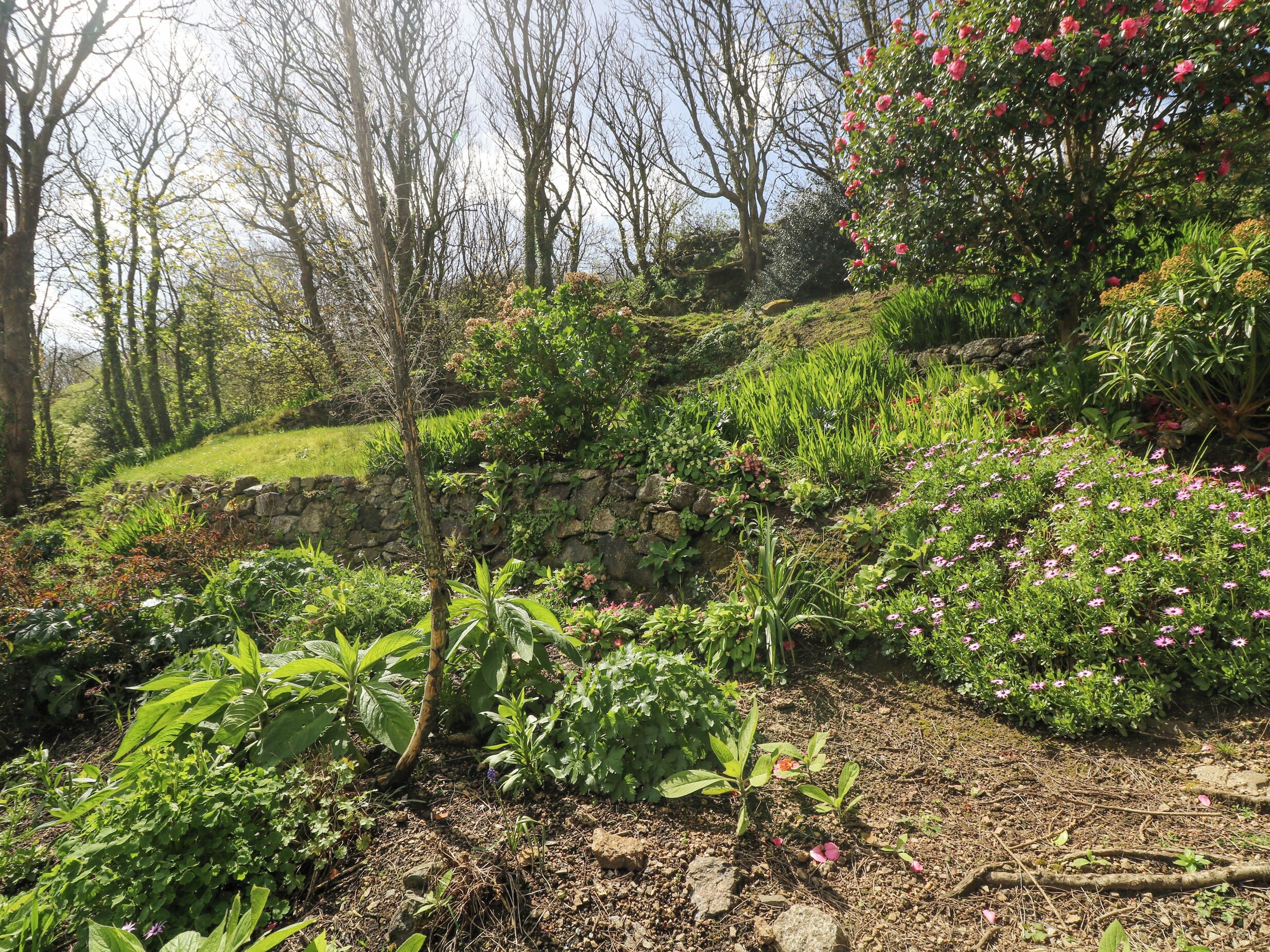 A garden with various plants and flowers, a stone wall, and trees.