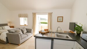 A compact living space with a kitchenette, a sofa, a bed, and a view of the outdoors.