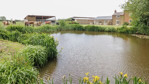 A rural landscape with a pond, cows, and farm buildings.