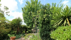 Un jardín exuberante con diversas plantas y un banco de madera.
