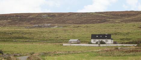 A rural landscape with a house, a road, and a hill in the background.
