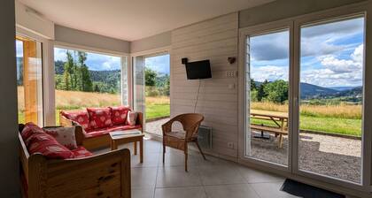 New quiet gîte near Gérardmer with terrace and forest walks