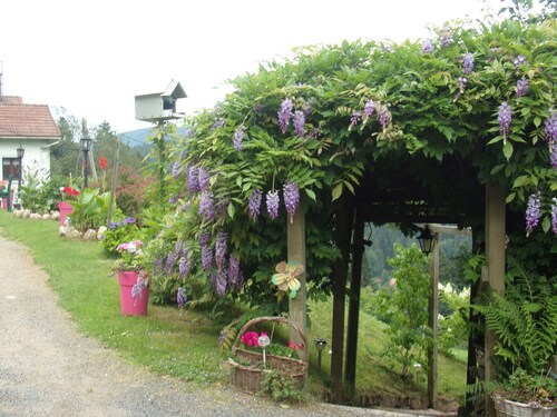 Charmant gîte avec terrasse, WiFi et garage moto à Gérardmer