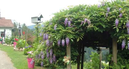 Charmant gßte avec terrasse, WiFi et garage moto à Gérardmer