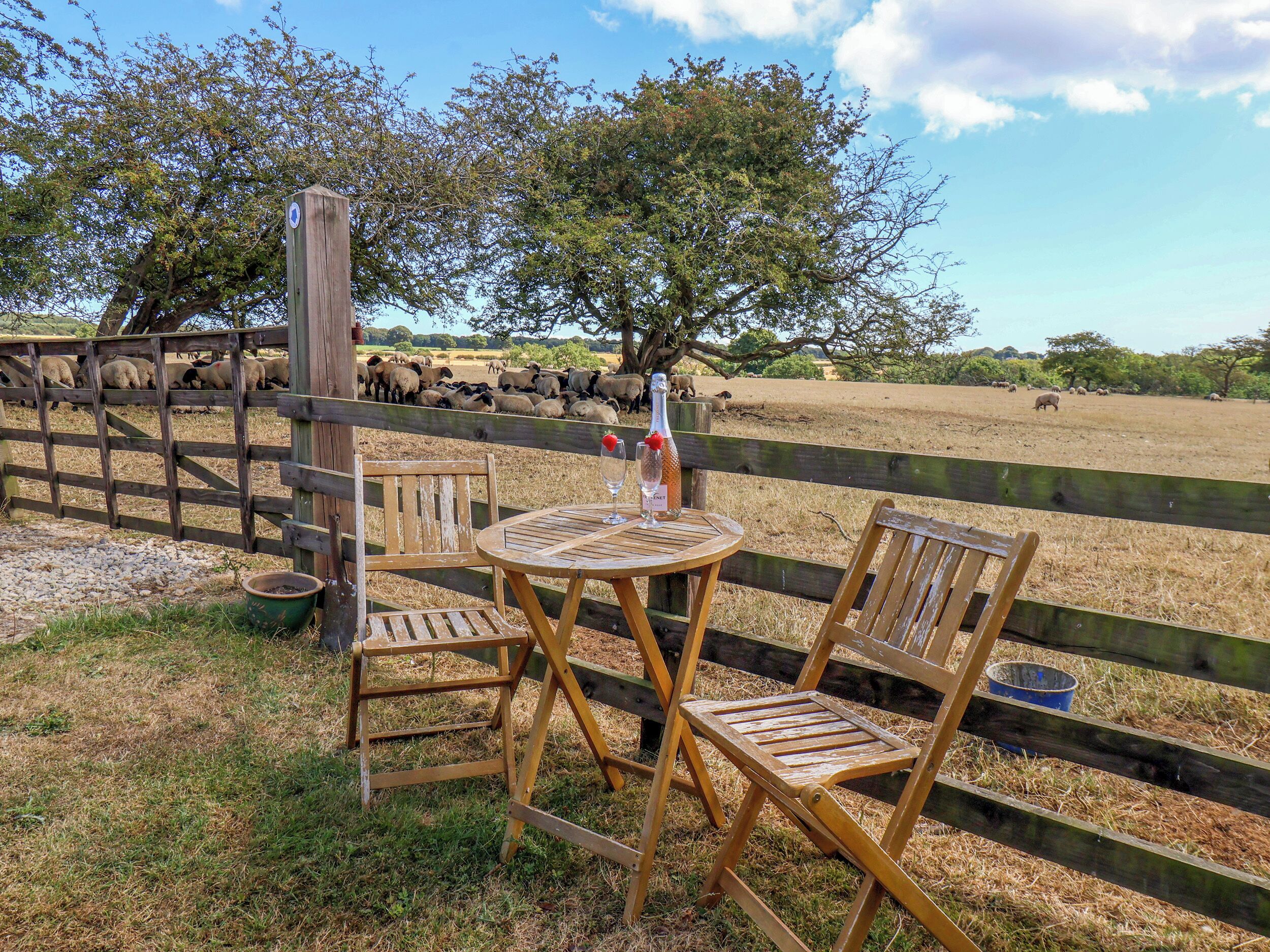 A rustic outdoor seating area with wooden chairs and a table, overlooking a fenced pasture with grazing sheep.