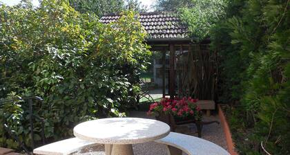 Charmant appartement avec terrasse près des sites des Vosges, idéal pour la nature et les activités