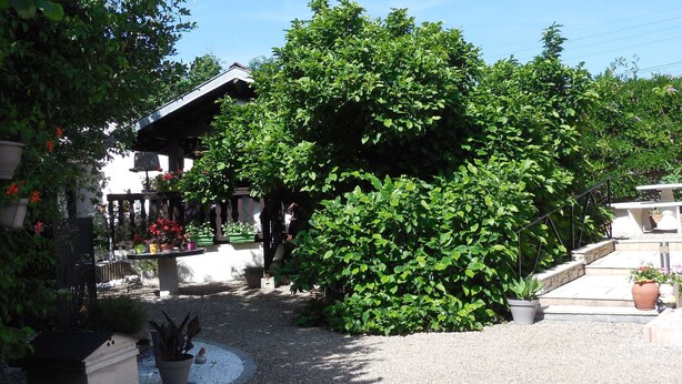 Un jardín con una estructura de madera, plantas en macetas y un camino de grava.