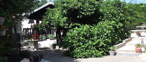 Áreas de la propiedad