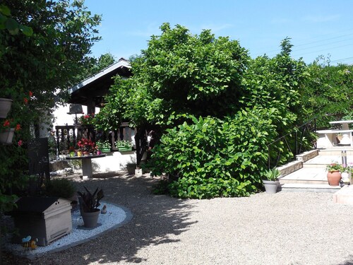 Gîte chaleureux avec terrasse, proche des activités touristiques et nature des Vosges