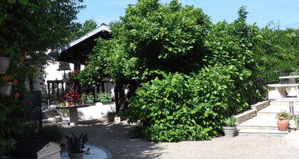 Gßte chaleureux avec terrasse, proche des activités touristiques et nature des Vosges