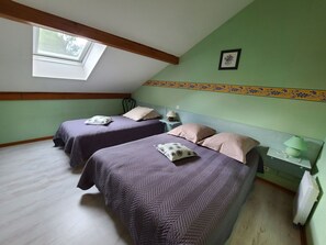 Une chambre avec deux lits, une lucarne, une bordure décorative et un radiateur.