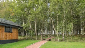 A wooden cabin with a gravel path leading to a bridge over a stream, surrounded by dense trees. - Treetops (Newcastle-upon-Tyne)