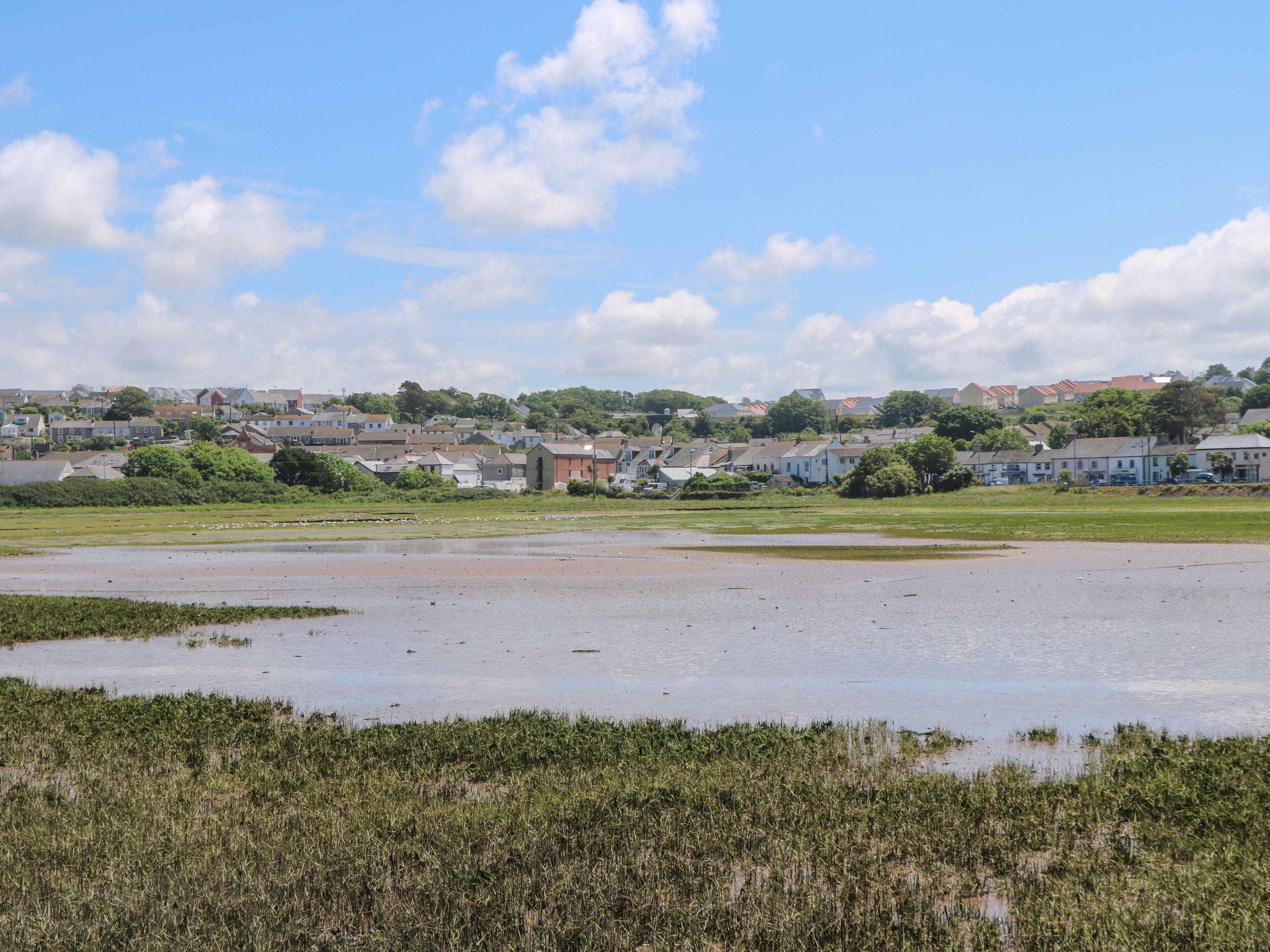 A coastal landscape with a sandy beach, grassy areas, and a town in the background.