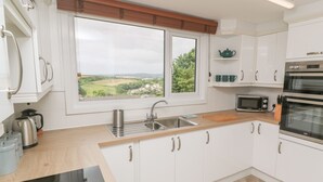 A modern kitchen with white cabinets, a stainless steel sink, a microwave, and an oven. - Little Valley View (Hayle)