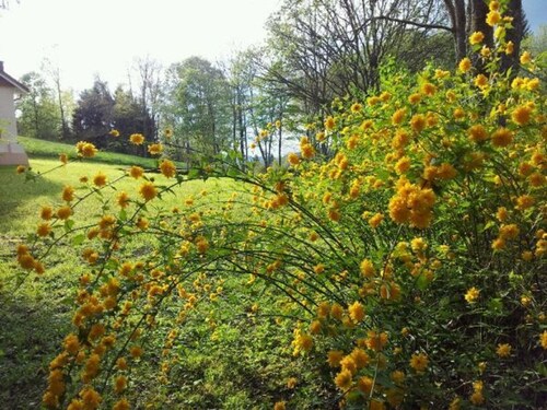 Secluded Forest Retreat with Pond, Ideal for Family or Friends, Sleeps 6