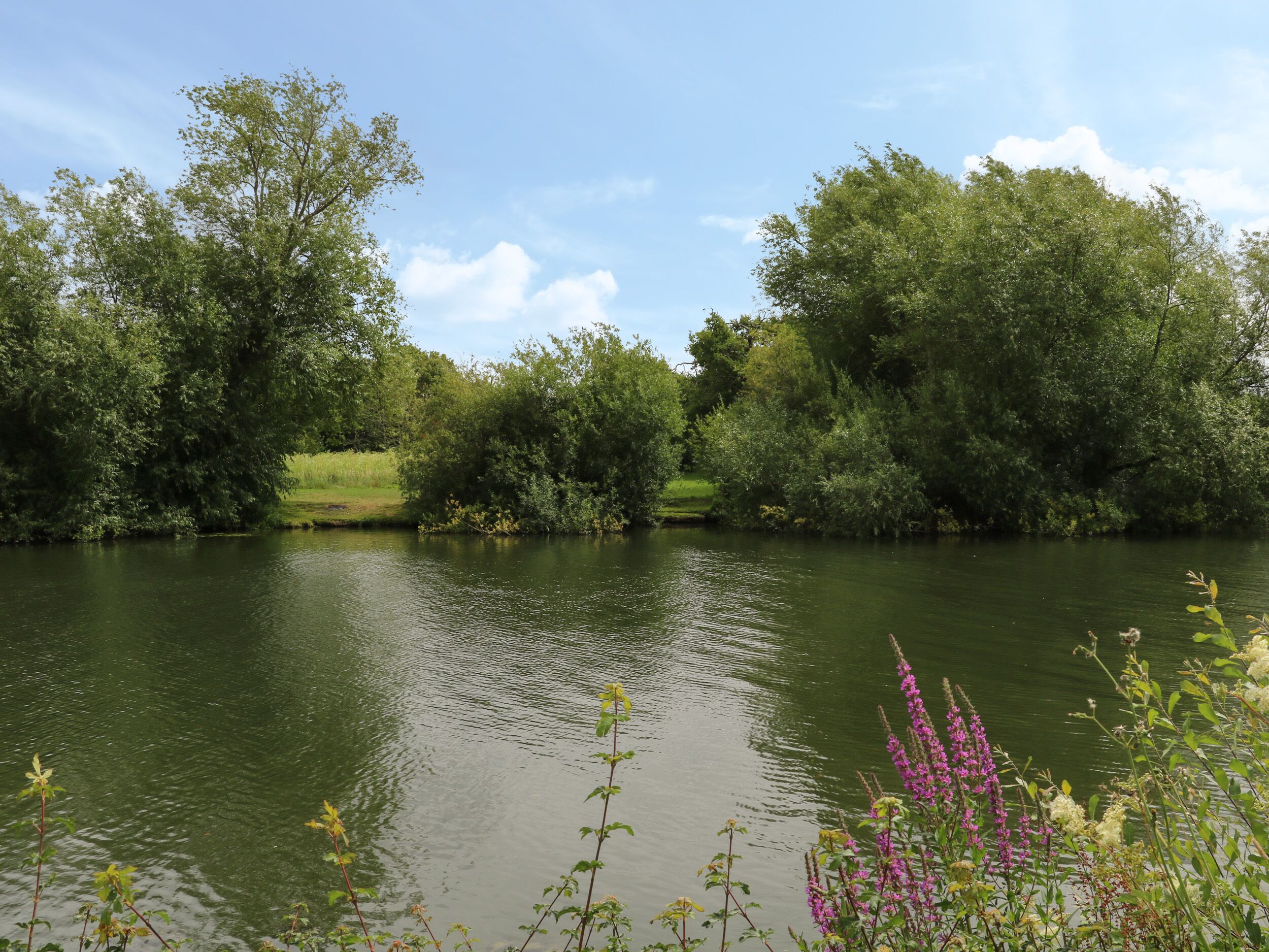 A calm river surrounded by lush greenery and trees.