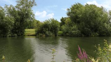 A calm river surrounded by lush greenery and trees.